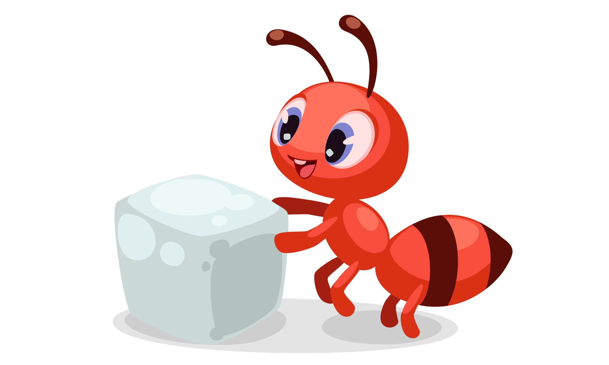 how to get rid of ants?