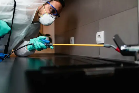 Keysborough Pest Control Services by Pest Control Magic