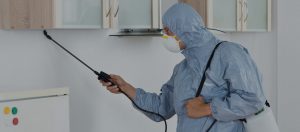 The Role of Pest Control in Maintaining Good Health and Hygiene