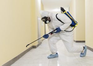 Why you might see more pest control activity after a pest control treatment